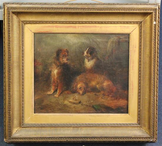 George Armfield (fl.1840-1875) Interior with three dogs, 12 x 14in.